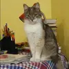 Отзыв от Варвара Крючкова